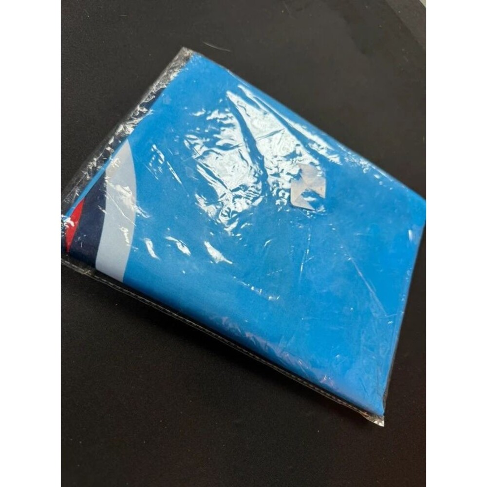 TN Titans Flag